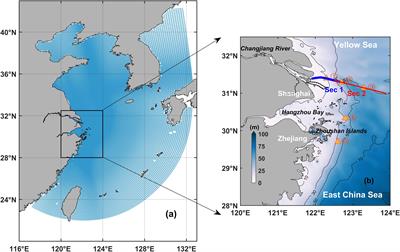 Rapid variations of phytoplankton blooms and their dynamics off the Changjiang River Estuary